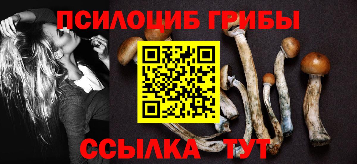 Новосибирск  Галлюциногенные грибы GOLDEN TEACHER  Вход с VPN 