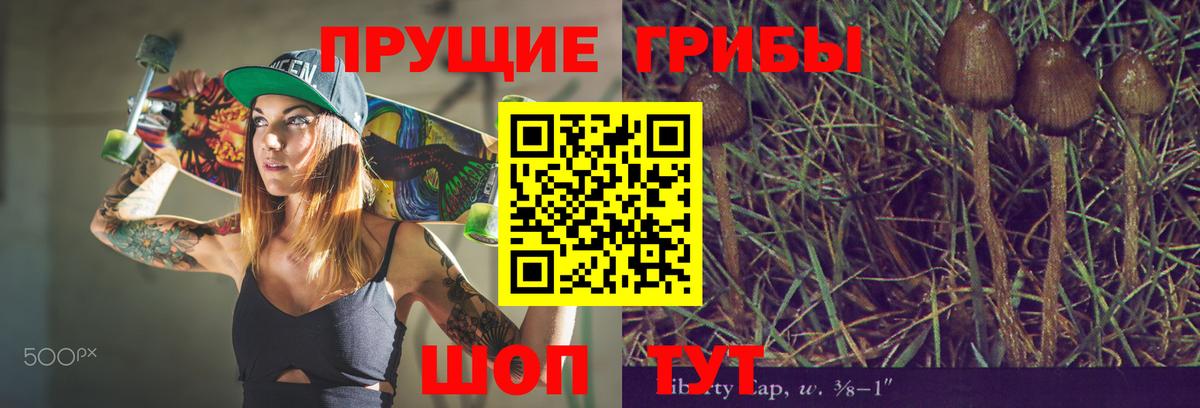 Галлюциногенные грибы Cubensis Новосибирск